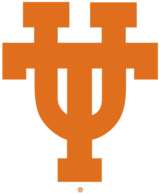 Texas Longhorns 0-Pres Alternate Logo v2 diy DTF decal sticker